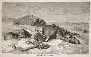 Atrapado por el Siroco, ilustración de La Edición Pictórica de la Vida y Descubrimientos de David Livingstone por J. Ewing Richie, pub. por A. Fullarton y Co., 1876 de John Martin